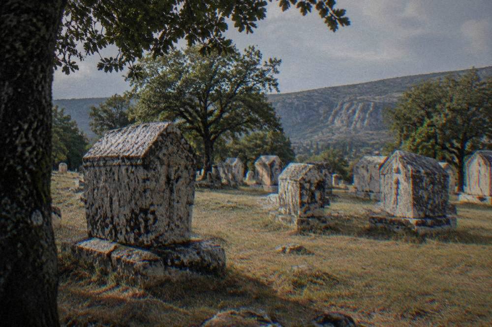 Rows of carved medieval stećci tombstones on grass at the Radimlja necropolis near Stolac