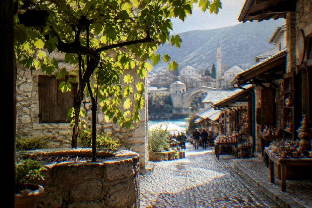 Sunlit vine leaves over a stone courtyard well in an old Mostar house