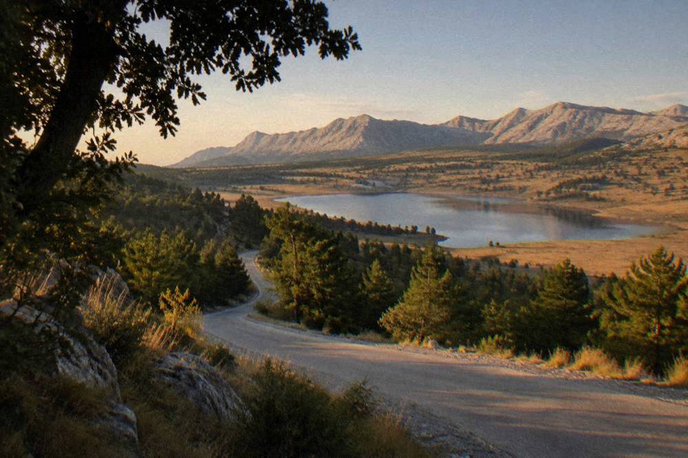 A winding mountain road climbing through pine forest towards an open plateau