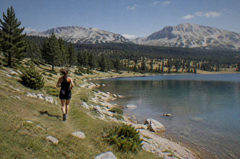 A shallow mountain lake at the edge of pine forest with gravel shoreline and distant peaks