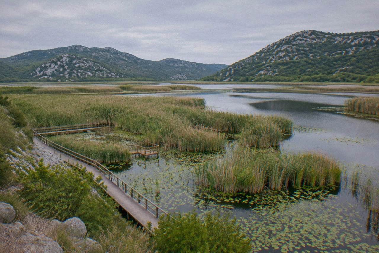 Wide view of reed beds and open water at Hutovo Blato with wooded hills behind
