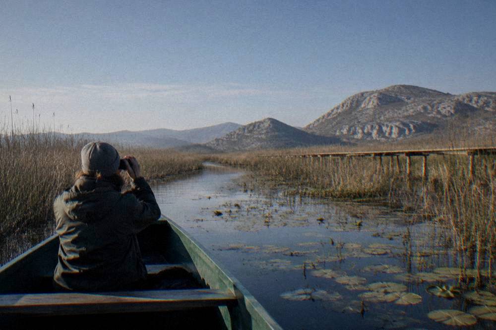 Narrow boat gliding through a reed-lined channel with a birdwatcher aboard
