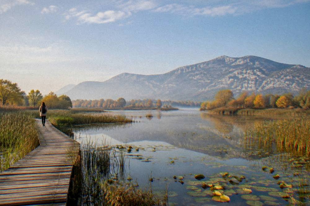 Misty autumn morning over the lake with trees turning colour at the waterline