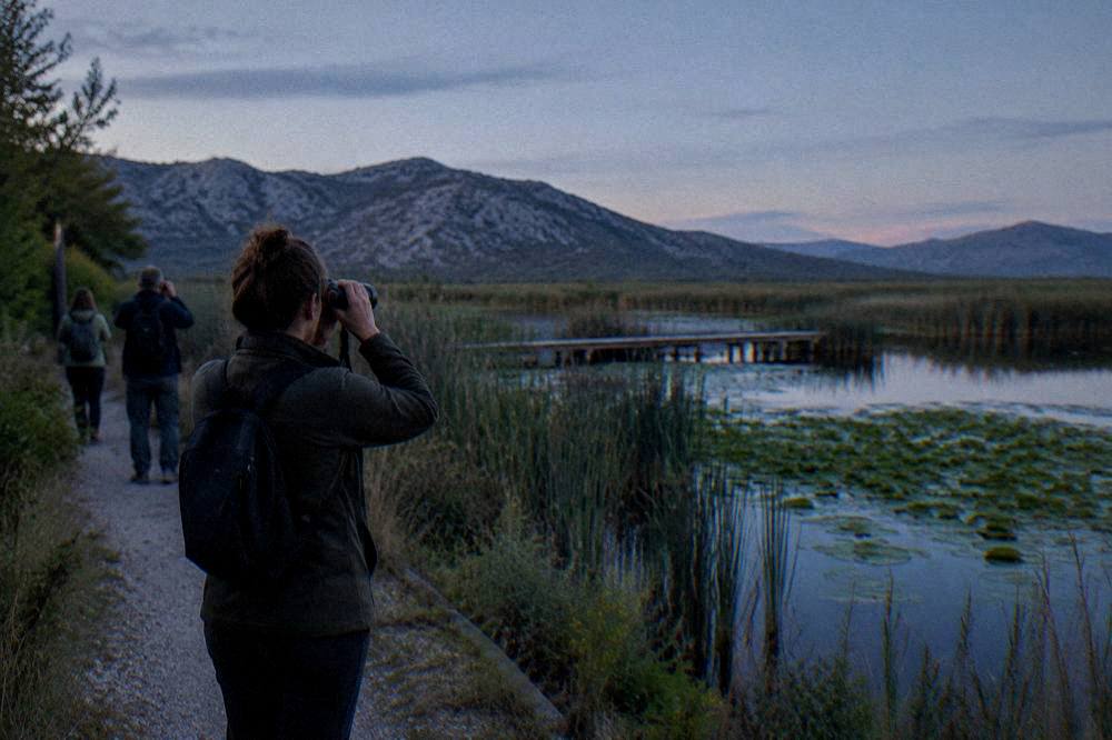 Visitors with binoculars walking a gravel path between reeds and open water