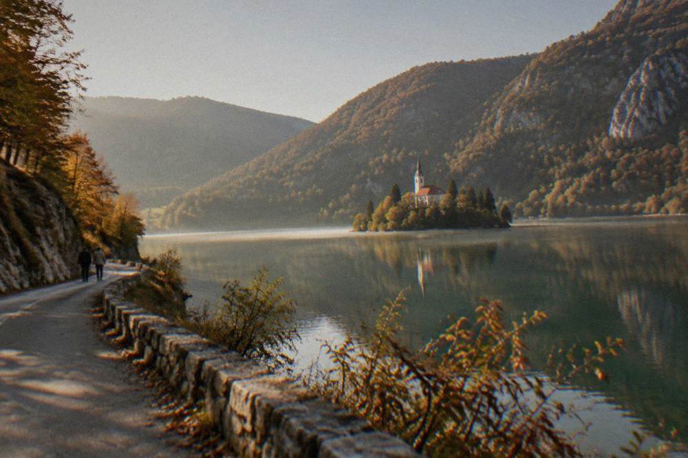 Autumn-coloured beech forest above a still lake with morning mist on the water