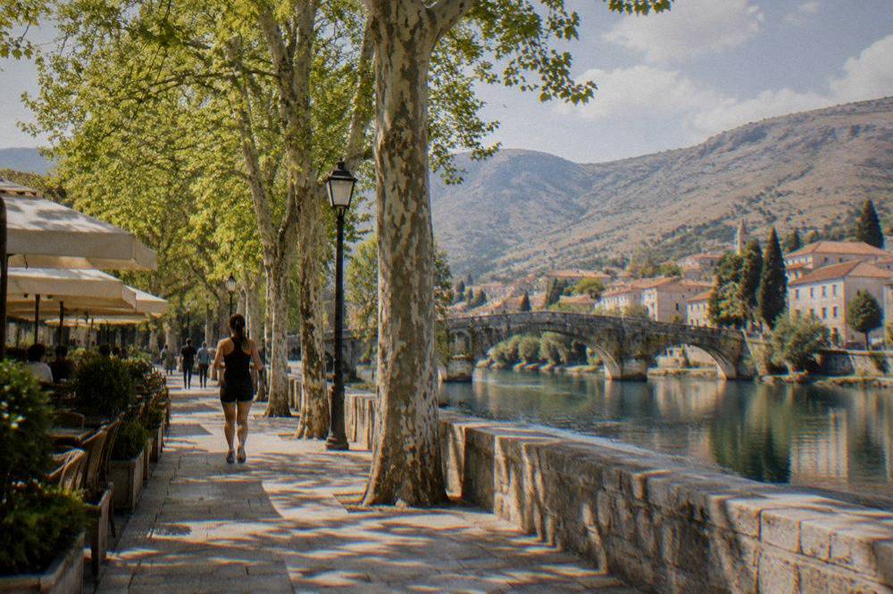 Sunlight through tall plane trees over a cafe terrace beside a river promenade