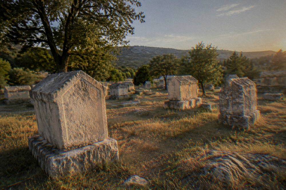 Carved medieval stone tombstones standing in grass at the Radimlja necropolis near Stolac
